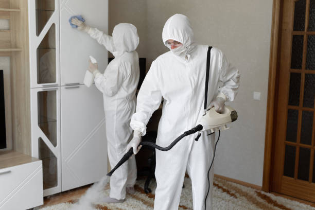 24/7 Emergency Odor Removal experts in Roanoke, TX