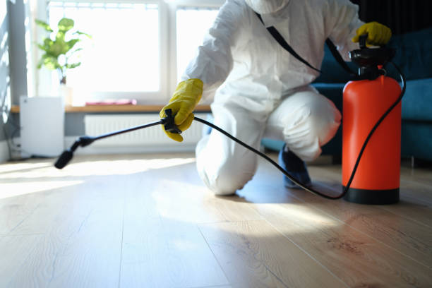 Reliable Odor Removal contractor in Roanoke, TX by Trauma Clean Pros